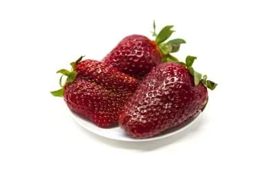 Growing Everbearing Strawberry on Hydroponic Towers